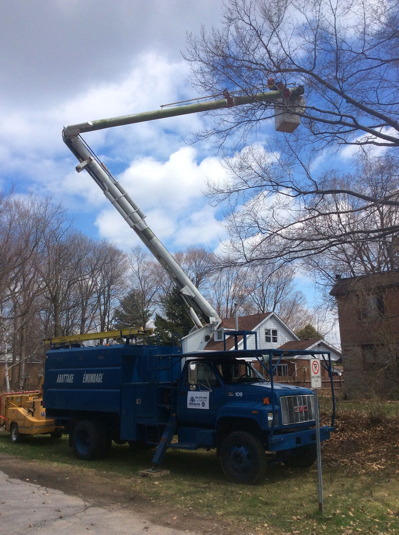 Tree trimming Montreal tree service project | EMONDAGE GV