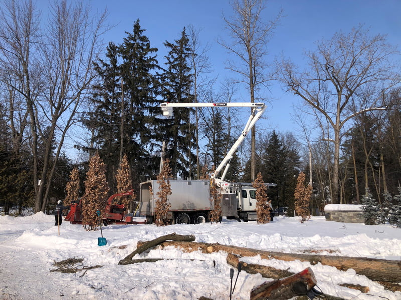 Tree trimming Montreal tree service project | EMONDAGE GV
